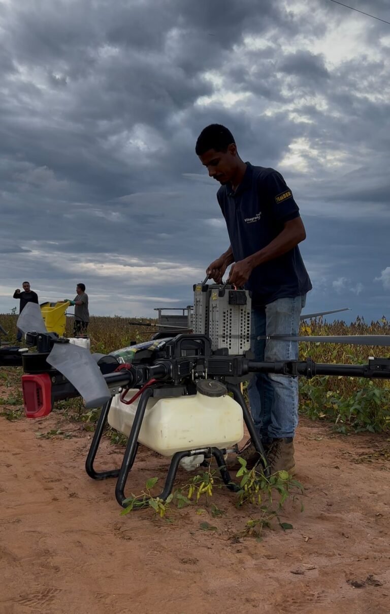 d521ae8b-7b8e-4264-b39e-cfbdc1f42101